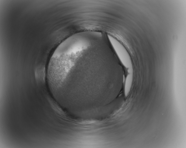X0000089730397200707051742