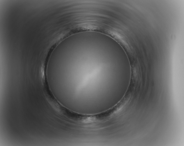 X0000089730398200707051742