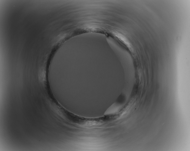 X0000089730399200707051742