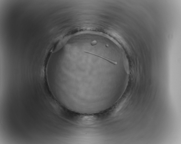X0000089730401200707051742
