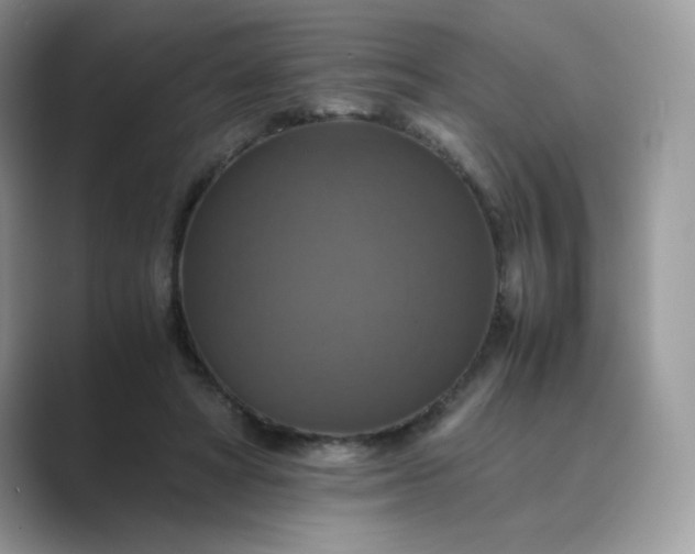 X0000089730402200707051742