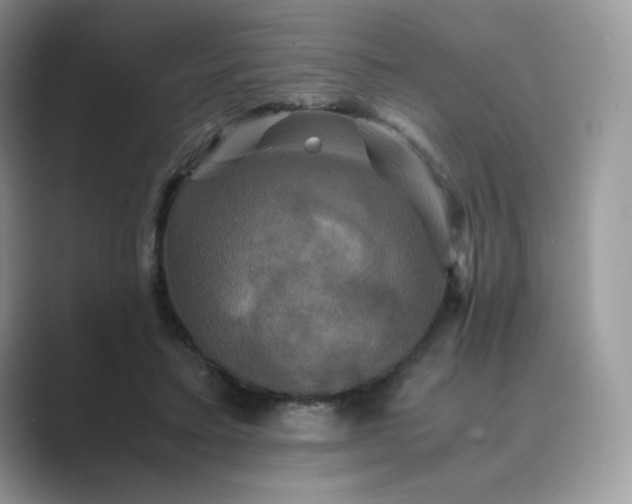 X0000089730403200707051742
