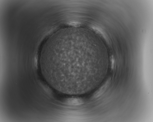 X0000089730404200707051742