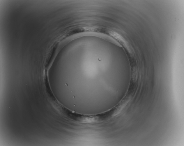 X0000089730405200707051742