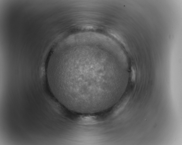 X0000089730407200707051742