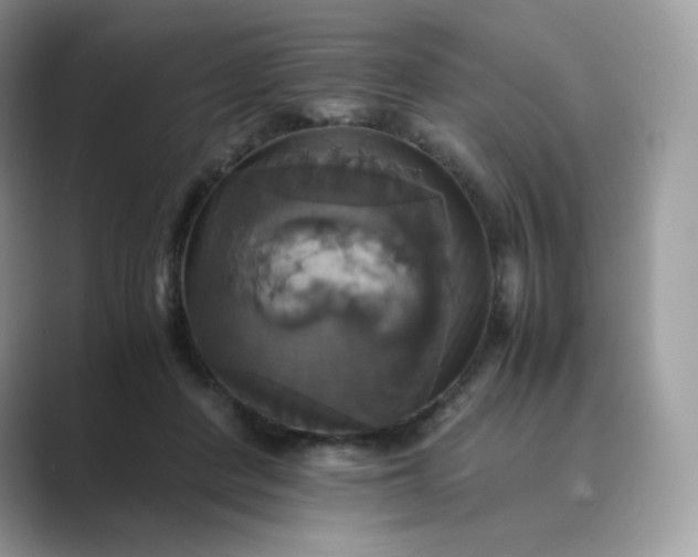 X0000089730408200707051742