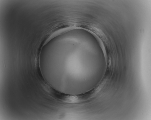 X0000089730409200707051742