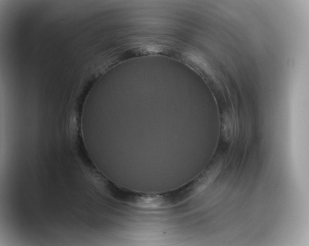 X0000089730410200707051742