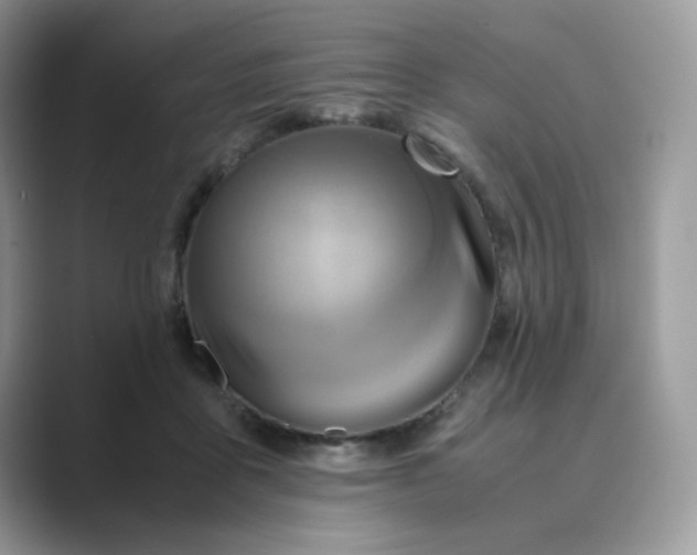 X0000089730411200707051742