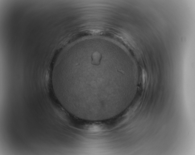 X0000089730412200707051742