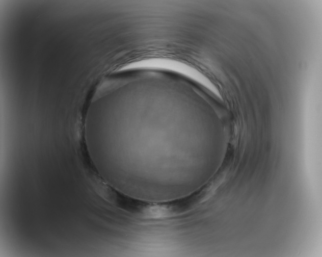 X0000089730413200707051742