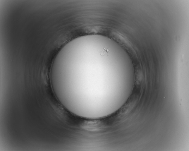 X0000089730414200707051742