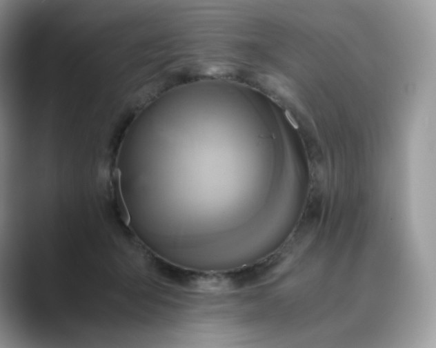 X0000089730415200707051742