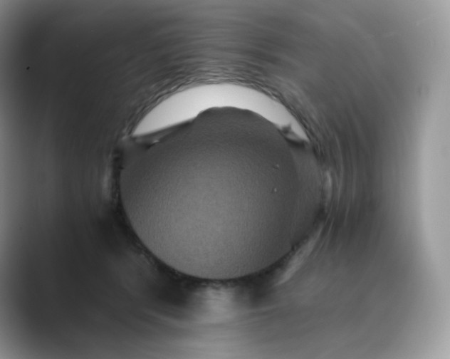 X0000089730416200707051742