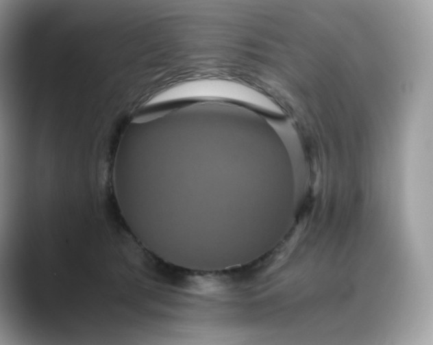 X0000089730417200707051742