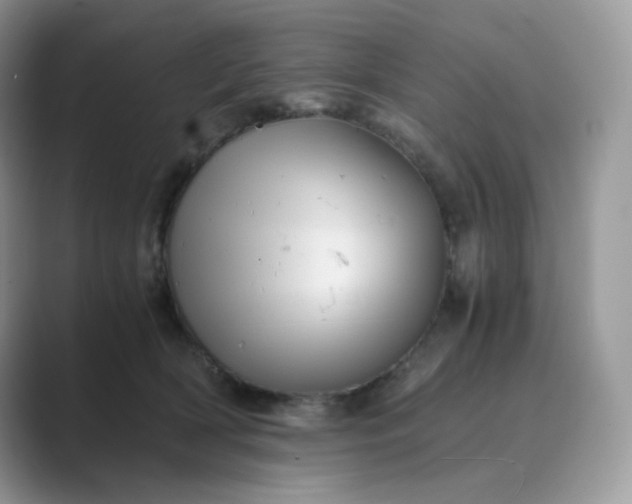 X0000089730418200707051742