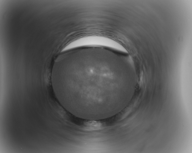 X0000089730421200707051742