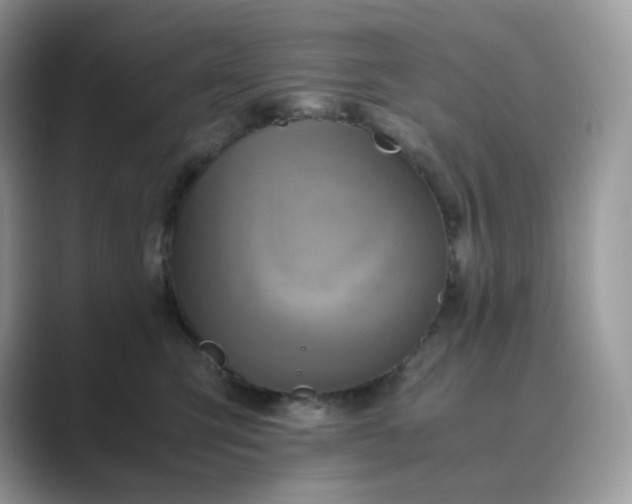 X0000089730423200707051742