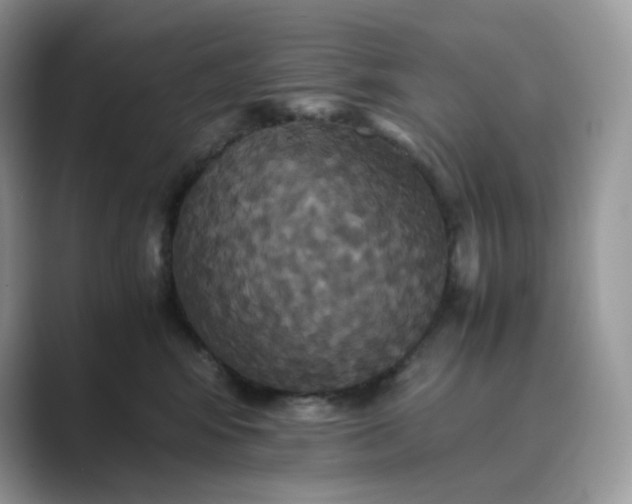 X0000089730424200707051742