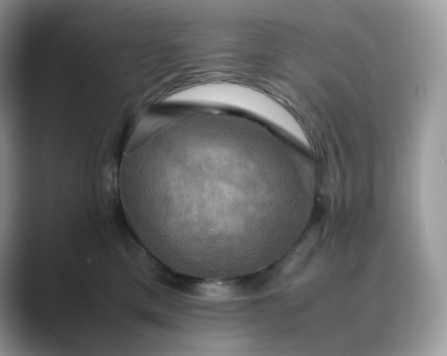 X0000089730425200707051742