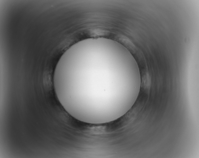 X0000089730426200707051742