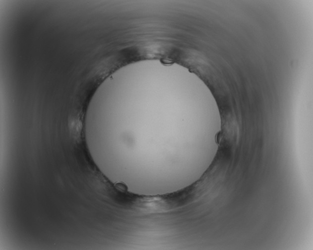 X0000089730427200707051742