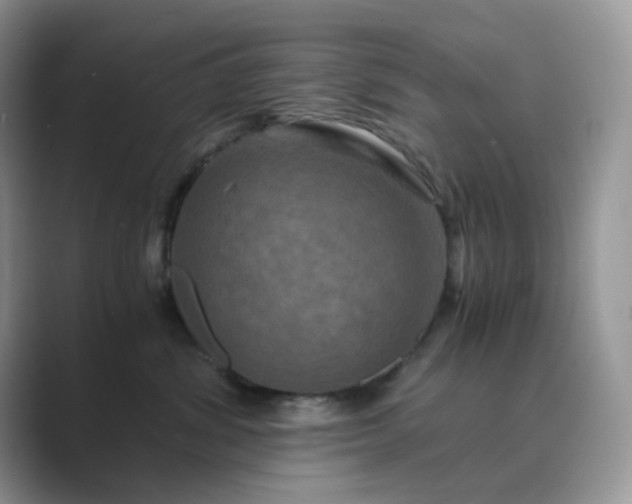 X0000089730428200707051742