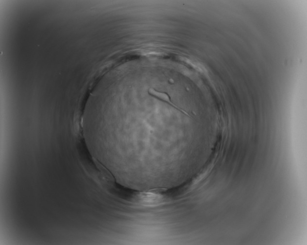 X0000089730429200707051742