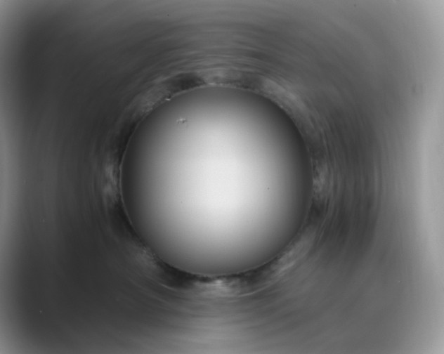 X0000089730430200707051742