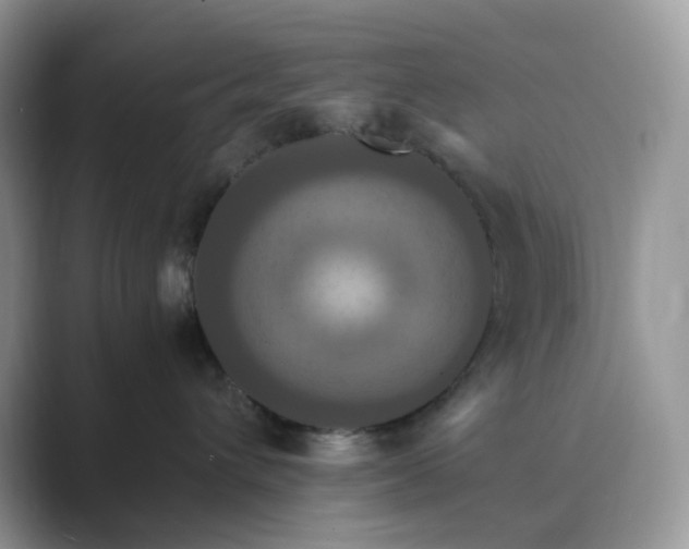 X0000089730432200707051742