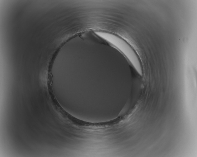 X0000089730434200707051741