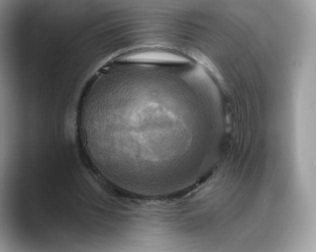 X0000089730436200707051742