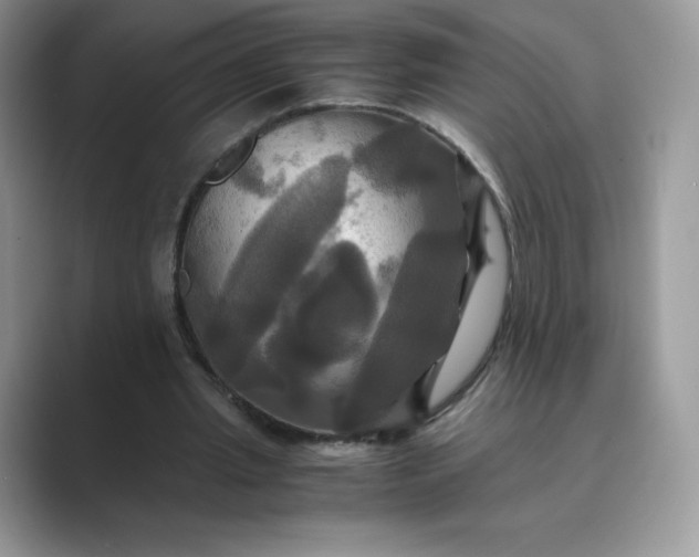 X0000089730437200707051742
