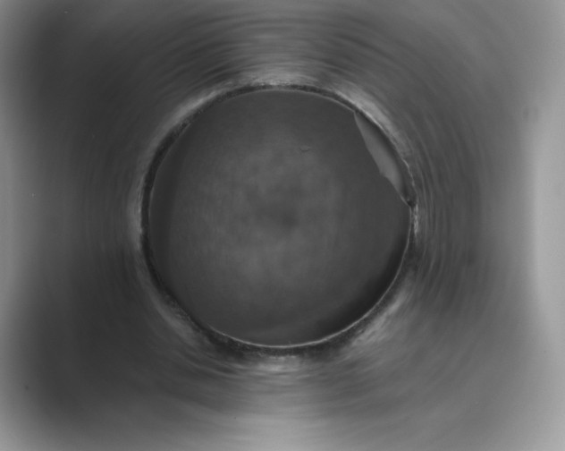 X0000089730438200707051742