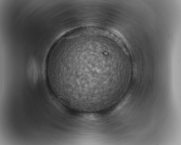 X0000089730439200707051742
