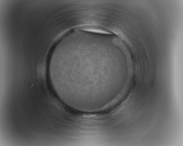 X0000089730440200707051742