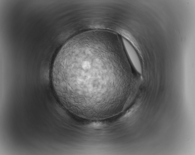 X0000089730441200707051742