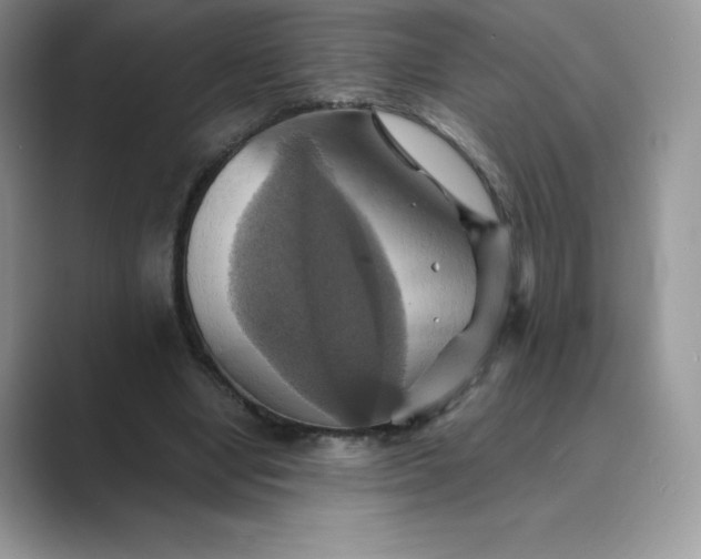 X0000089730442200707051742
