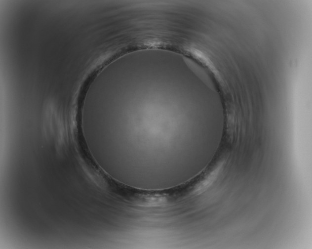 X0000089730443200707051742