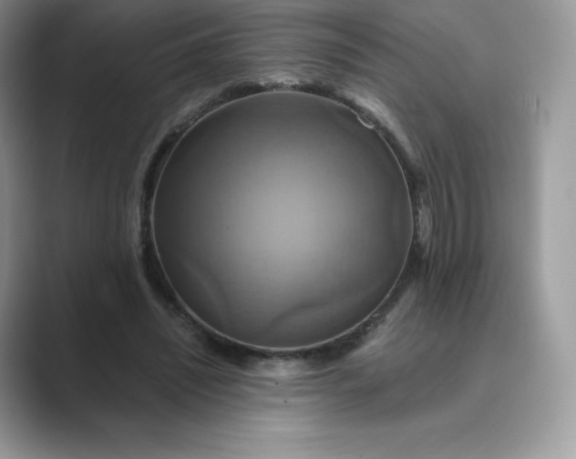 X0000089730444200707051742