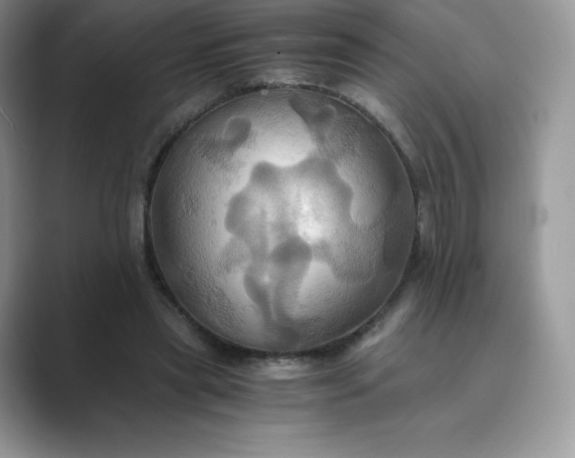 X0000089730445200707051742