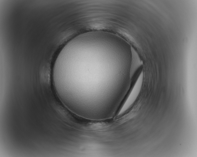 X0000089730446200707051742