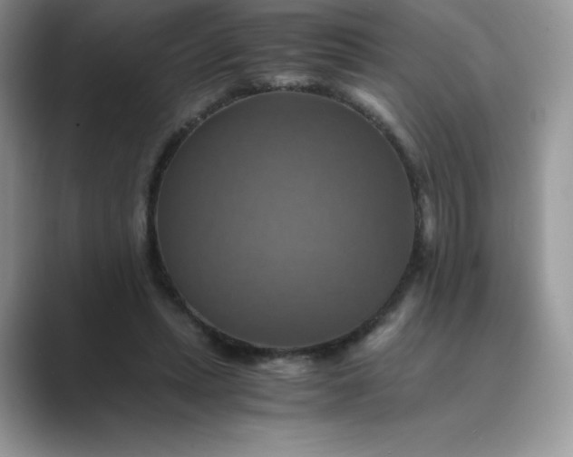 X0000089730447200707051742