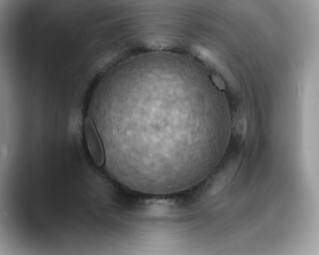 X0000089730448200707051742