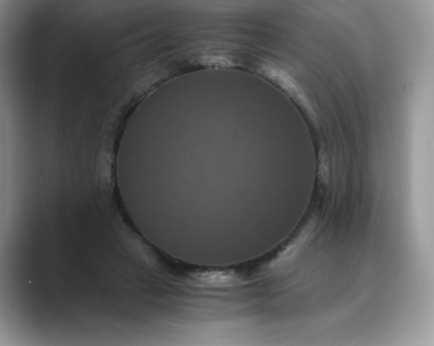 X0000089730449200707051742