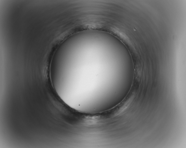 X0000089730450200707051742