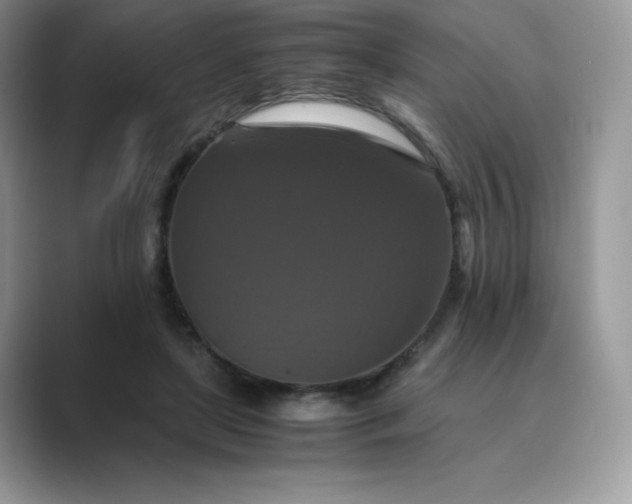 X0000089730451200707051742