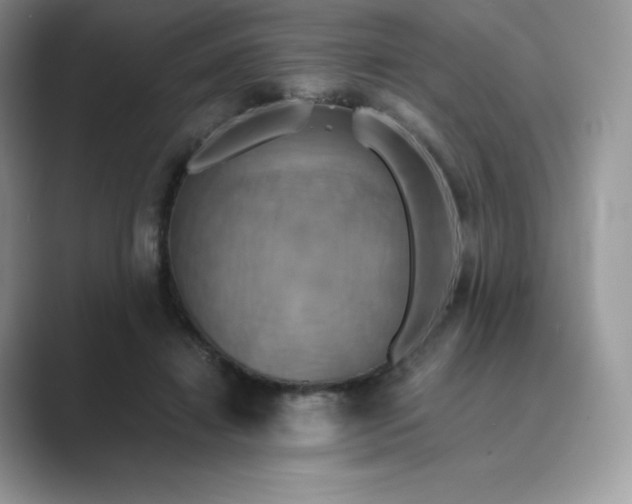 X0000089730452200707051742