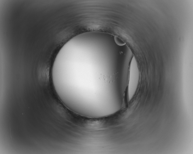 X0000089730454200707051742