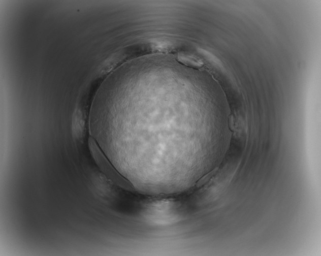 X0000089730456200707051742